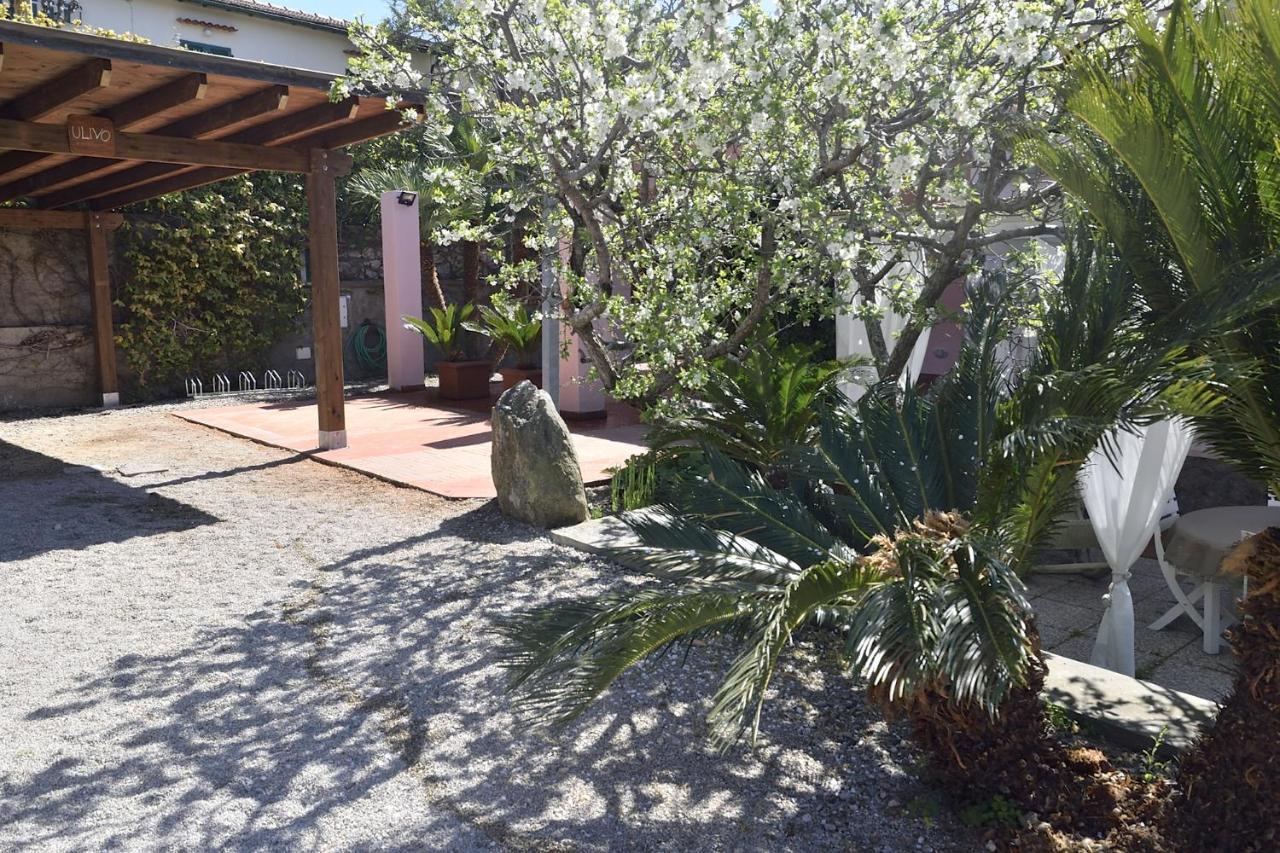 Villa Fiore Apartments 费拉约港 外观 照片